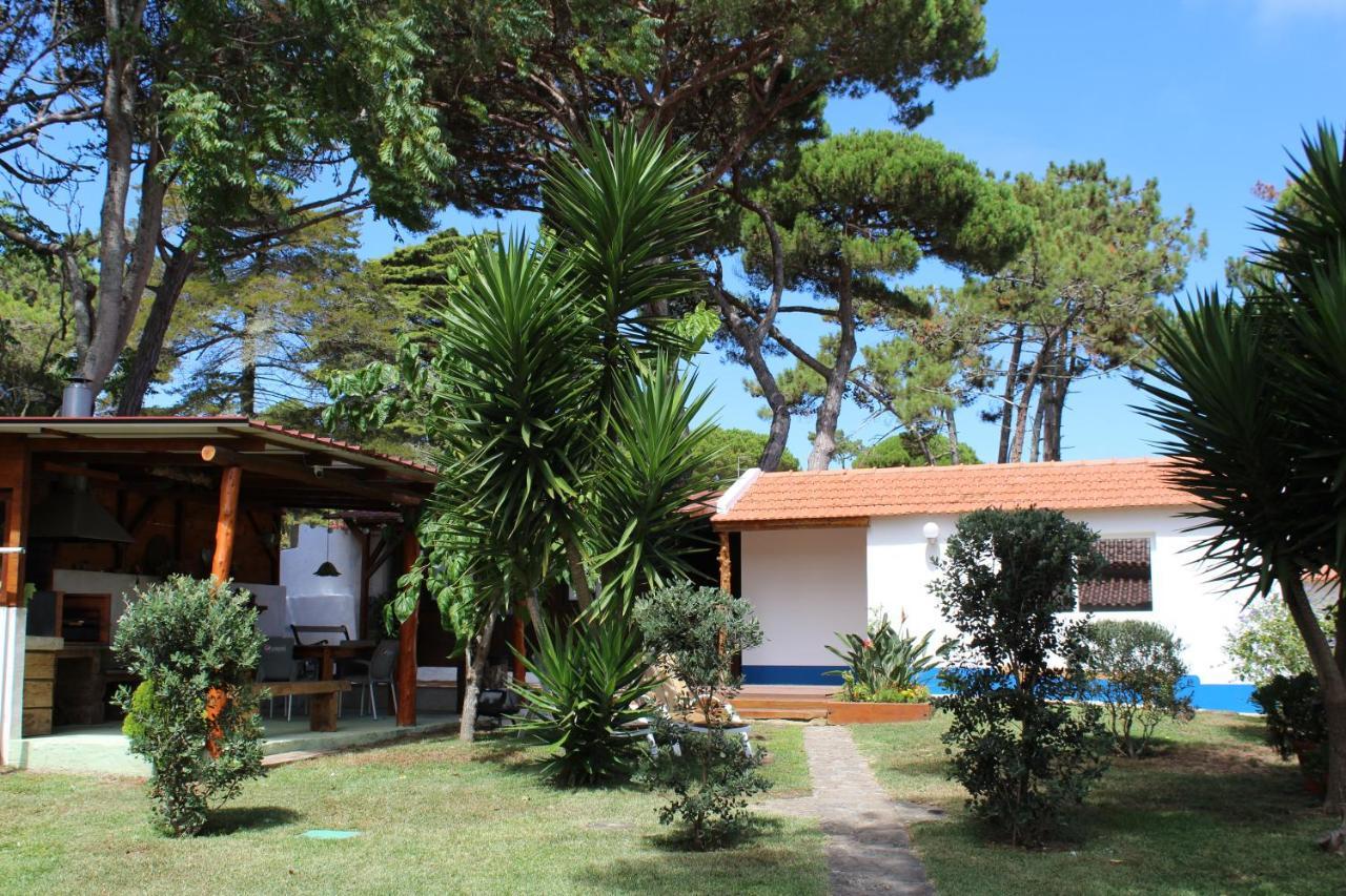 Casinha Do Pinhal Βίλα Colares Εξωτερικό φωτογραφία