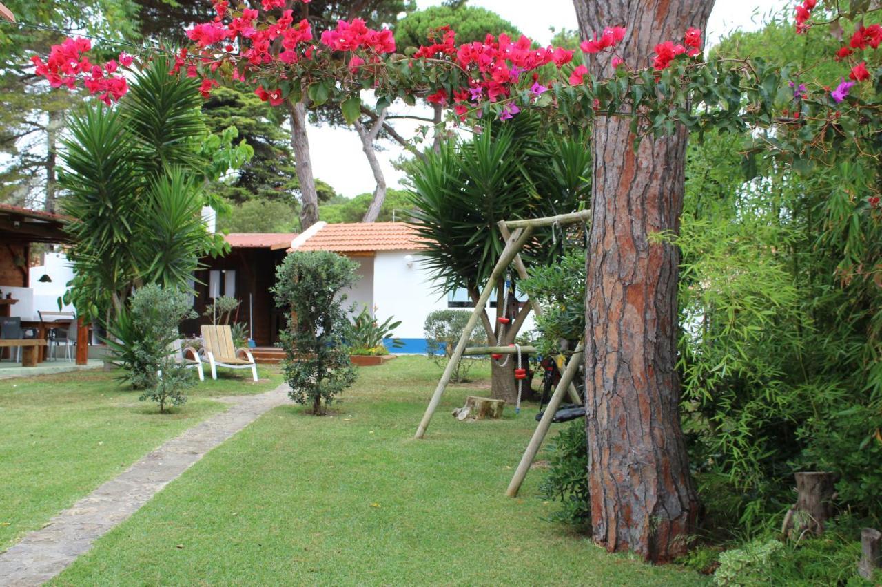 Casinha Do Pinhal Βίλα Colares Εξωτερικό φωτογραφία