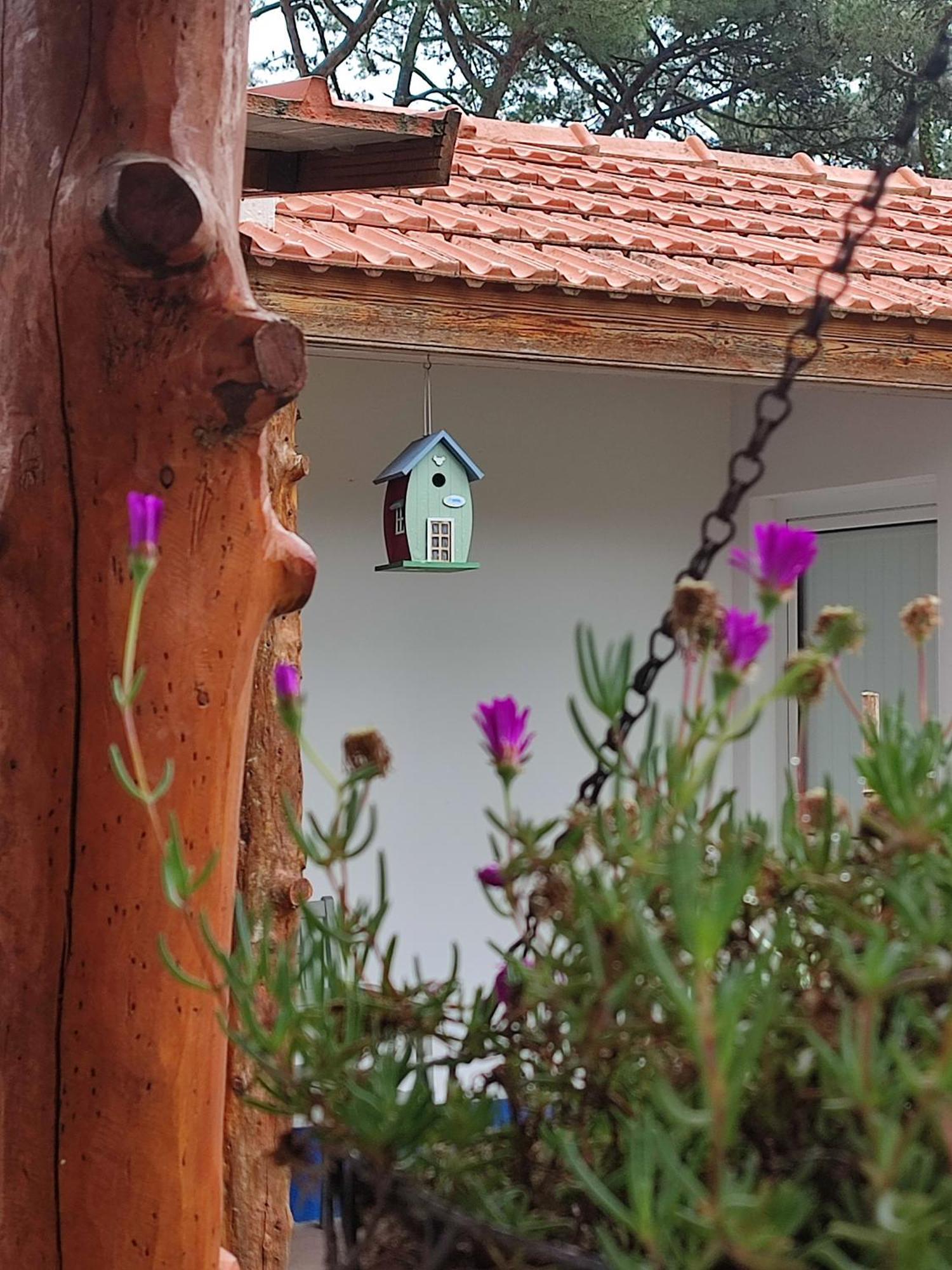 Casinha Do Pinhal Βίλα Colares Εξωτερικό φωτογραφία
